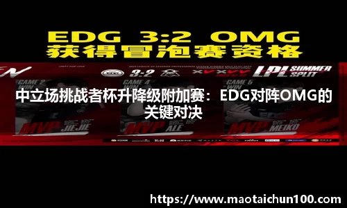 中立场挑战者杯升降级附加赛：EDG对阵OMG的关键对决